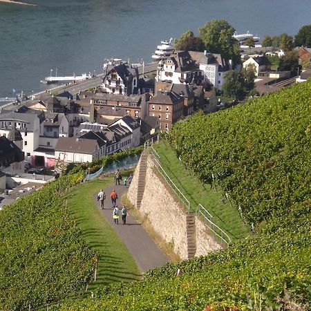 Hotel Gasthof Schuster Und Gaestehaus リューデスハイム・アム・ライン エクステリア 写真